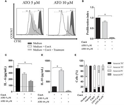 Peroxisome Proliferator-Activated Receptor Alpha Mediates the Beneficial Effects of Atorvastatin in Experimental Colitis